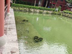 -中国船政文化博物馆