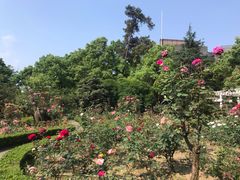 -南山植物园
