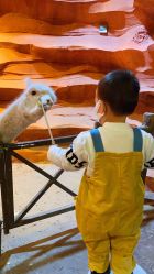 -酷嗒动物文化乐园(cutezoo西溪乐天城店)