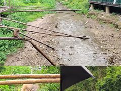 -西双版纳原始森林公园
