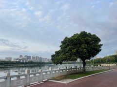 -南宁南湖公园