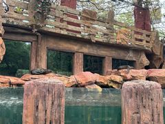 -长鹿旅游休博园