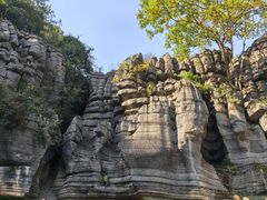 -梭布垭石林景区