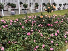 -人民公园(罗湖区)