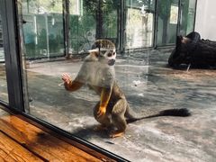 -西安秦岭野生动物园