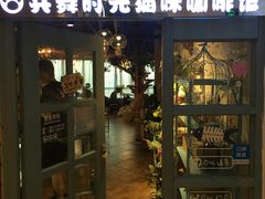 门面-共舞时光猫咖·狗咖(新街口店)