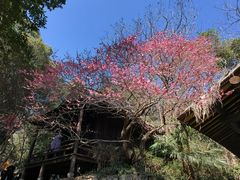 -黄公望隐居地