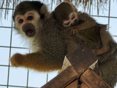 -水上乐园·欢乐世界