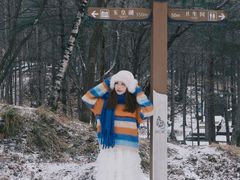 -洛阳白云山景区