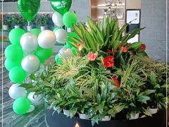 -大鸭梨烤鸭(枣园店)