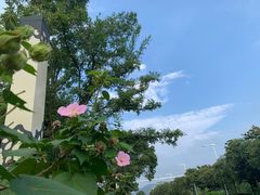 -苏州太湖国际会议中心