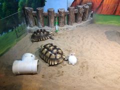 -华夏文旅西安度假区