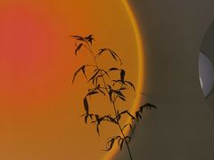 -奈诺甜品·生日蛋糕·下午茶(古城店)