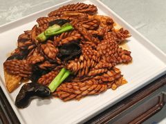 -鲁菜根·泰山菜(泰山店)