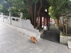 -龙潭水乡