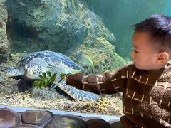 -华夏文旅海洋公园