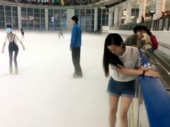 -世界之窗阿尔卑斯冰雪世界