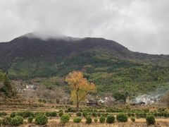 -塔川景区