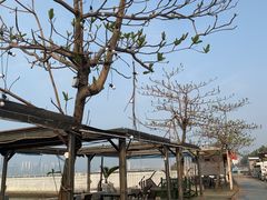 -西秀海滩公园