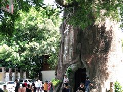 -青青世界