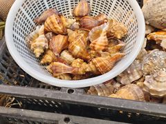 -三个渔夫·蒸汽海鲜(小白楼店)