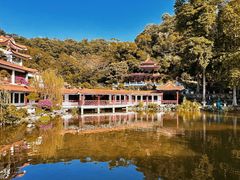 -深圳仙湖植物园
