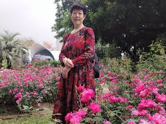 -人民公园(罗湖区)