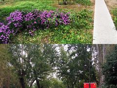 -万泉公园