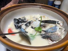 -全乐鱼馆·淳牌有机鱼直营店