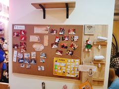 -滚猫咖啡·猫咖·猫友好撸猫(未来城店)
