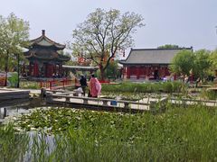 -曹州牡丹园