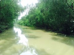 -大湾区中央湿地公园