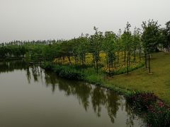 -上海长兴岛郊野公园