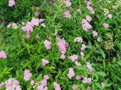 -白塘生态植物园