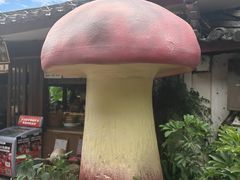 -菌自由丨野生菌火锅特色庭院餐厅(丽江古城店)