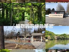 -广西壮族自治区药用植物园