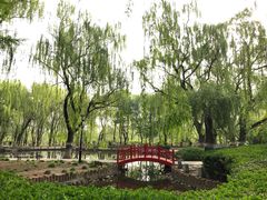 -玲珑塔公园