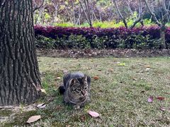 -上海市龙华烈士陵园