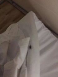 -美德因妇儿医院