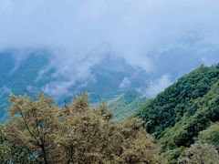 -四明山国家森林公园