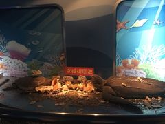 -苏州海洋馆