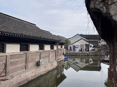 -鲁镇