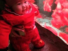 -泉城欧乐堡海洋极地世界