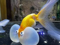 -北海海底世界