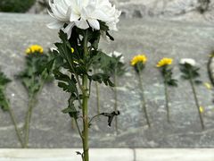 -阿坝州汶川特别旅游区