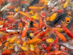 -泰安地下龙宫景区