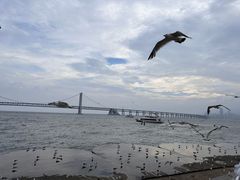 -星海广场