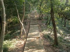 -上海佘山国家森林公园天马山园