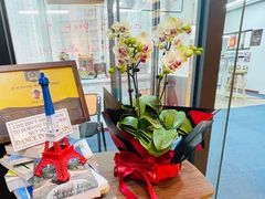 -JT PREP国际学科课程·IB·AP·Alevel(陆家嘴校区)