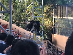 -清迈夜间动物园